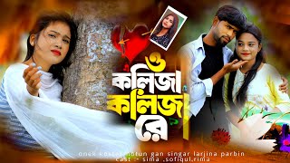 ও কলিজা কলিজা রে  o kolija kolija re  larjina parbin  o kolija kolija re gaan  ns music company [upl. by Eidnak245]