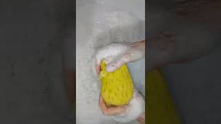 asmrsqueezing spongesasmrvideorelaxrinsingspongesqueezingspongesrinsingsponges [upl. by Nalhsa]