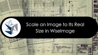 How to Scale an Image to Its Real Size in WiseImage [upl. by Lalage]