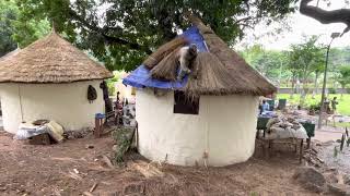 Finishing thatched roof round mud hut Nigeria [upl. by Norrat]