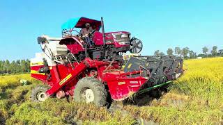 Mahindra arjun novo 755 dii 4wd harvester  mahindra arjun novo 755 dii 4wd power🦾 working mud [upl. by Princess71]