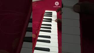 Belaciao melodica cover music melodica melodica belaciao [upl. by Kciv]