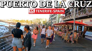 TENERIFE  PUERTO DE LA CRUZ  How does it Currently look 😎 4K Walk ● December 2023 [upl. by Vincenty]