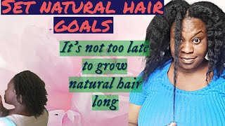 how to set hair goals  grow LONG THICK HEALTHY natural hair mini twists simply shev [upl. by Yecac689]