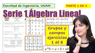 SOLUCIÓN SERIE 1 DE EJERCICIOS DE ÁLGEBRA LINEAL  GRUPOS Y CAMPOS  FI UNAM  PARTE 13 [upl. by Llednor189]