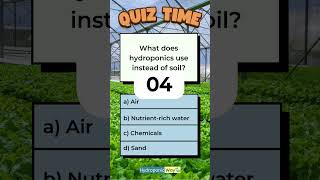 What Hydroponics Uses Instead of Soil [upl. by Matteo]