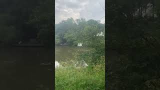 720p vs 4K [upl. by Ayotahc569]