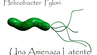 Causas🍃síntomas 🌽 y tratamiento 🚑 fisiopatología Helicobacter Pylori [upl. by Nanice]