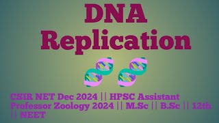 DNA Replication part 3  Prokaryotic Replication  Ecoli DNA Replication  DNA synthesis [upl. by Davy]