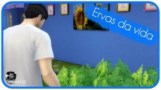 The Sims 4 Get to Work Gameplay  Ep 3  quotO Melhor Leite de Semprequot [upl. by Nahtaoj]