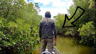 GROUPER Fishing Mangrove Creeks Everglades Fishing [upl. by Missi]