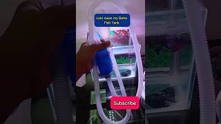 Betta Fish Tank CLEAN💙 bettafish cleaning [upl. by Mord]