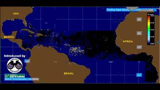 2024 Sargassum Monitoring® Official  Sargassum Seaweed Evolution july 2024 [upl. by Trilby]