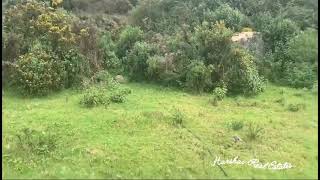 8 CENTS  OOTY  CALL FOR PRICE  ooty realestatesales realestate nilgiris [upl. by Rehtul682]