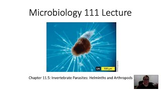 20242025 Micro 111 Chapter 115 Lecture Video [upl. by Brey]