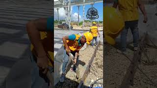 Advanced Termite Reticulation System by Techno Pest Control Cebu  Ultimate Home Protection [upl. by Jareb]