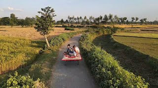 Beautiful Village Road Drone View Bangladesh 🇧🇩 [upl. by Scheld]