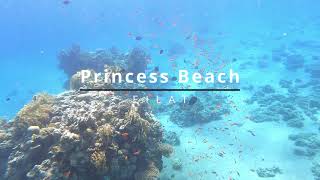 Princess Beach snorkeling underwaterlife travel [upl. by Eentrok]