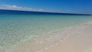 Riviera Towers Freeport Bahamas Unit 202 condo rental ocean view [upl. by Ialokin]