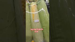 Harga Jagung Muda 3 biji di kota madinah vlog shotrs [upl. by Watkin]