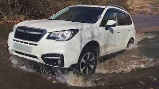 Subaru Forester deep water crossing [upl. by Walrath]