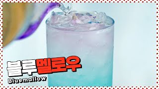 레몬이 닿으면 색이 변하는 허브차 블루멜로우 허브차 마시는 방법 만개의레시피 [upl. by Toby347]