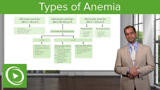 Anemia Microcytic Normocytic amp Macrocytic Type – Hematology  Lecturio [upl. by Scevor]