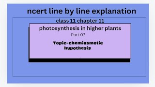 Chemiosmotic hypothesis photosynthesis in higher plants NCERT line by line explanation [upl. by Fanchon]