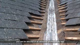 Conservatory Roof Repairs Solihull  Solihull Conservatory Roof Replacement and Repair [upl. by Jonas]