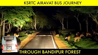 KSRTC AIRAVAT B9R BUS JOURNEY THROUGH BANDIPUR FOREST  Mudumalai Tiger Reserve🐯 [upl. by Earezed]