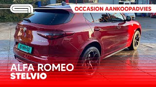 Alfa Romeo Stelvio occasion aankoopadvies [upl. by Noseaj51]