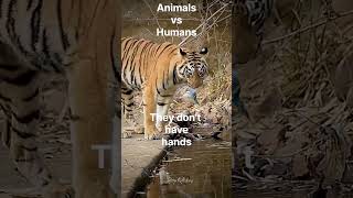 Humans vs Animals we throw waste everywhere they dont [upl. by Kilroy]