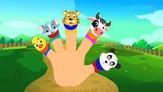 Animals Finger Family for Babies and Children [upl. by Yhtuv]