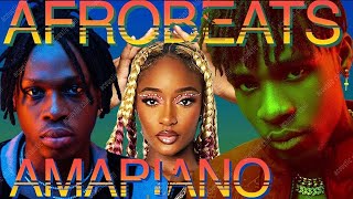 AFROBEATS MIX 2024 🔥 TOP OF NAIJA AFROBEAT VIDEO MIX 2024  AMAPIANO 2024  WIZKID  TYLA  OMAH LAY [upl. by Jacquelyn]