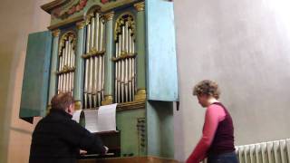 Zipoli Pastorale for organ [upl. by Icrad]