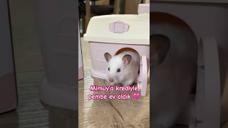 Hamster Mimuy’a krediyle PEMBE ev aldık 🎀🏠 hamsterhouse Oyuncak ev kumbara [upl. by Eelatsyrc]