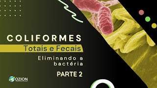 Como eliminar coliforme total e fecal E coli parte2 [upl. by Tessy472]