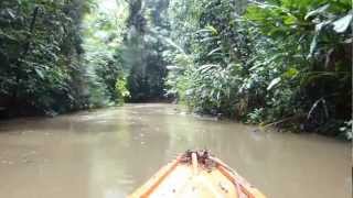 Amazon River Boat Ride [upl. by Ralyt579]