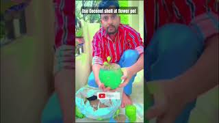 Nariyal Pani Peene ke bad Nariyal Ko Na fenke shorts garden coconut cocopeat [upl. by Dev]