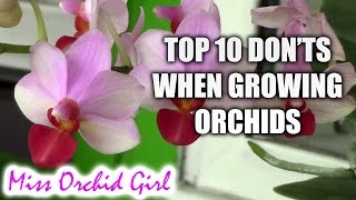 Top 10 DONTs when Growing Orchids  tips for orchid beginners [upl. by Ahsoj638]