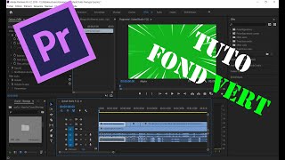 Le Fond Vert  COMMENT ÇA MARCHE  Tournage amp Premiere Pro [upl. by Eliason967]