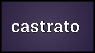 Castrato Meaning [upl. by Areehs686]