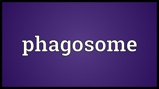 Phagosome Meaning [upl. by Thar148]