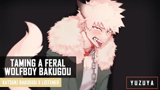 Taming A Feral Wolfboy Bakugou ASMR  Katsuki Bakugou x Listener [upl. by Karleen]