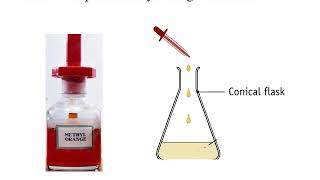 Standardization of HCl solution with a standard solution of Na2CO3 Noor Alhuda Ahmed saber [upl. by Llehcar]