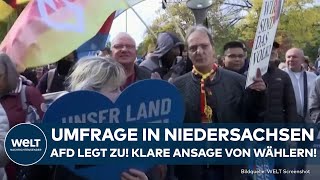 NIEDERSACHSEN Umfrage vor Landtagswahl AfD legt zu  klare Ansage von Wählern [upl. by Ilrak]