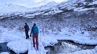 Searching for Ptarmigan Early Winter Mountain Adventure [upl. by Fanchette636]