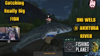 Fishing for Uni Wels Catfish  Fishing Planet  Akhtuba River Monsters [upl. by Uyekawa788]