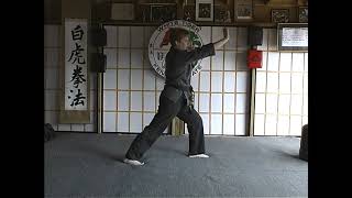 Tracy Kenpo Karate Basic [upl. by Ak]