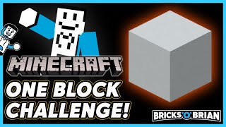 The One Block Challenge  Minecraft Server Fun with Bricks O Brian [upl. by Currier269]